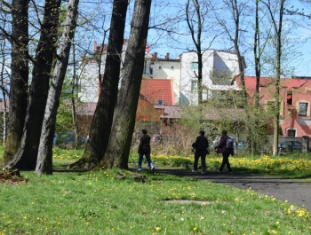 Nordic Walking- majowy spacer po żywieckim parku zamkowym z uczestnikami programu Senior/ka - zdjęcie7
