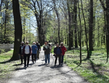 Nordic Walking- majowy spacer po żywieckim parku zamkowym z uczestnikami programu Senior/ka - zdjęcie14