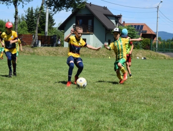 Dni Żywca 18.06.2022 r. - zdjęcie30