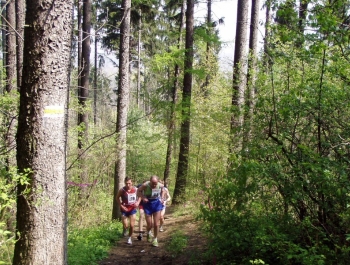 WIOSENNY FESTIWAL BIEGOWY - WYNIKI BIEGU NA GROJEC ORAZ BIEGÓW DZIECI - zdjęcie1