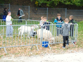 Wyniki 36. Jesiennego Festiwalu Biegowego. - zdjęcie28
