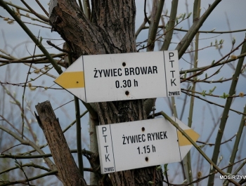WYNIKI - XXV WIOSENNY FESTIWAL BIEGOWY - zdjęcie1