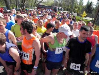 WYNIKI - XXV WIOSENNY FESTIWAL BIEGOWY - zdjęcie116