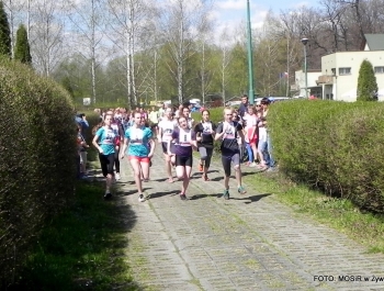 WYNIKI - XXV WIOSENNY FESTIWAL BIEGOWY - zdjęcie149