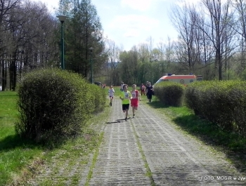 WYNIKI - XXV WIOSENNY FESTIWAL BIEGOWY - zdjęcie175