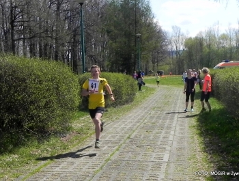 WYNIKI - XXV WIOSENNY FESTIWAL BIEGOWY - zdjęcie183