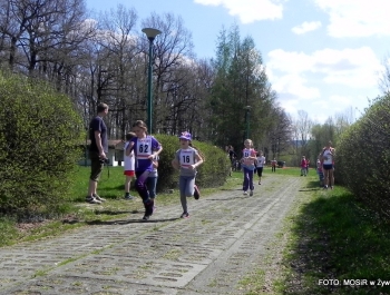 WYNIKI - XXV WIOSENNY FESTIWAL BIEGOWY - zdjęcie195