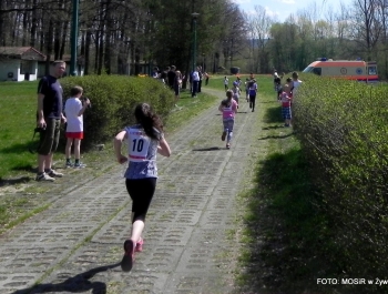 WYNIKI - XXV WIOSENNY FESTIWAL BIEGOWY - zdjęcie201