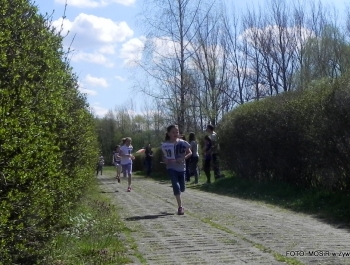 WYNIKI - XXV WIOSENNY FESTIWAL BIEGOWY - zdjęcie207