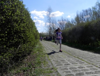 WYNIKI - XXV WIOSENNY FESTIWAL BIEGOWY - zdjęcie208