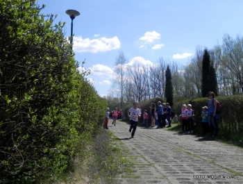 WYNIKI - XXV WIOSENNY FESTIWAL BIEGOWY - zdjęcie223