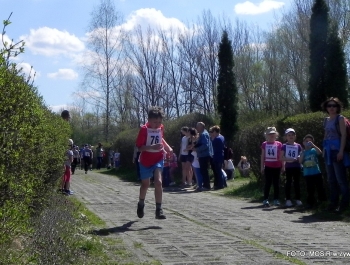 WYNIKI - XXV WIOSENNY FESTIWAL BIEGOWY - zdjęcie224