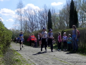 WYNIKI - XXV WIOSENNY FESTIWAL BIEGOWY - zdjęcie225