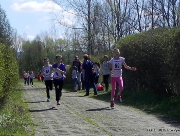 WYNIKI - XXV WIOSENNY FESTIWAL BIEGOWY - zdjęcie230