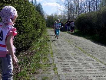 WYNIKI - XXV WIOSENNY FESTIWAL BIEGOWY - zdjęcie233