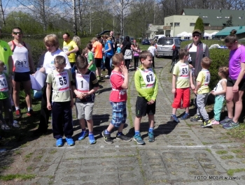 WYNIKI - XXV WIOSENNY FESTIWAL BIEGOWY - zdjęcie234