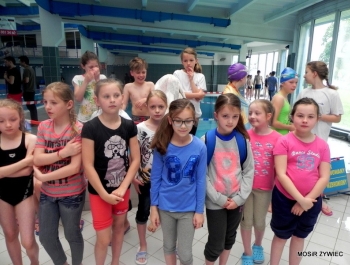 PŁYWACKA LIGA SZKOLNA 2014/2015 W ŻYWCU ZAKOŃCZONA OGROMNYM SUKCESEM! - zdjęcie19