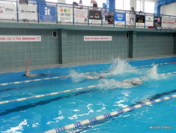 PŁYWACKA LIGA SZKOLNA 2014/2015 W ŻYWCU ZAKOŃCZONA OGROMNYM SUKCESEM! - zdjęcie45