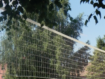LIPCOWA SOBOTA W ŻYWCU. W ROLI GŁOWNEJ: PIŁKA PLAŻOWA - zdjęcie55