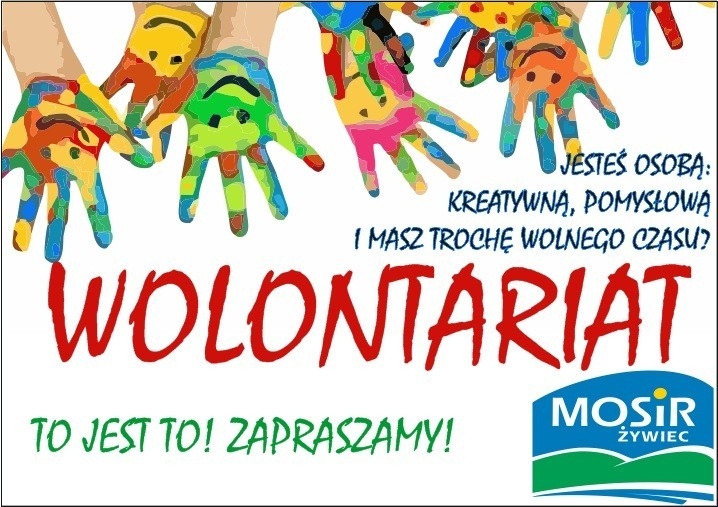 WOLONTARIAT PODCZAS FERII? CZEMU NIE!
