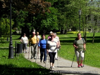 PARK ZAPRASZA. A MY MASZERUJEMY - zdjęcie10