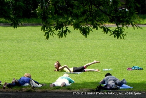 MAJ + PARK =  GIMNASTYKA