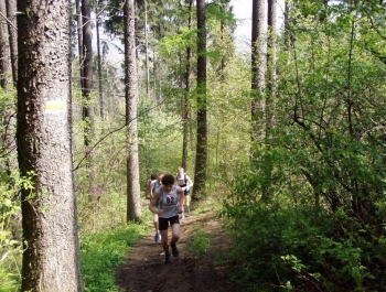 WIOSENNY FESTIWAL BIEGOWY - WYNIKI - zdjęcie40