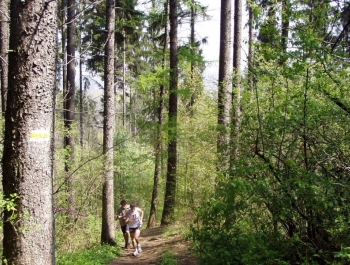 WIOSENNY FESTIWAL BIEGOWY - WYNIKI - zdjęcie39