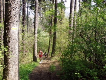 WIOSENNY FESTIWAL BIEGOWY - WYNIKI - zdjęcie37