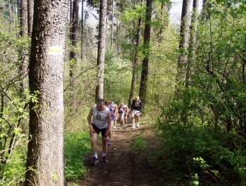 WIOSENNY FESTIWAL BIEGOWY - WYNIKI - zdjęcie34