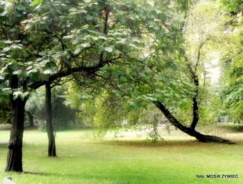 Park zaprasza Seniorów - zdjęcie6