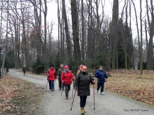 WYTRWALI SENIORZY - zajęcia Nordic Walking.