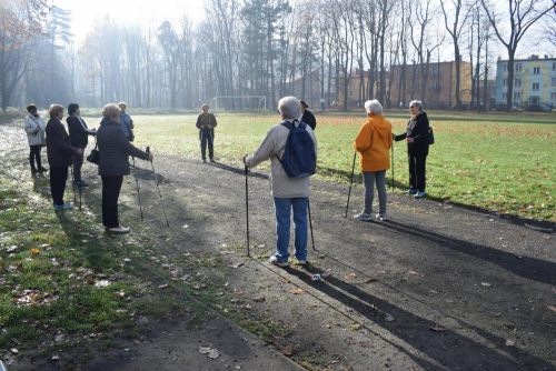 NORDIC WALKING - Miejski Ośrodek Sportu i Rekreacji w Żywcu  zaprasza do wzięcia udziału w Projekcie Senior/ka 2018