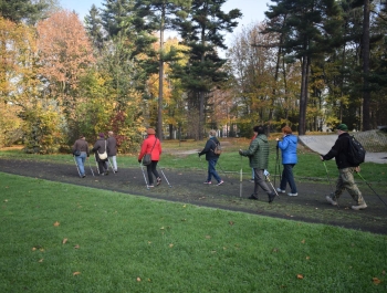 NORDIC WALKING - Miejski Ośrodek Sportu i Rekreacji w Żywcu  zaprasza do wzięcia udziału w Projekcie Senior/ka 2018 - zdjęcie5